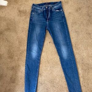 High Rise Brigette Skinny Jeans